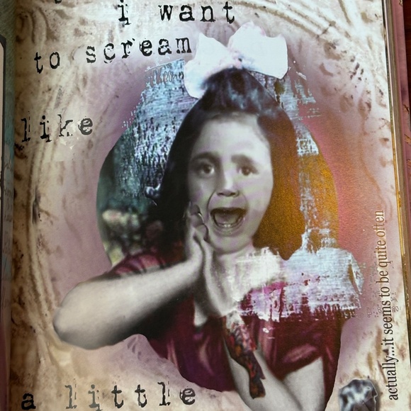 "I'm Dangerous and I'm Not Gonna Lie" Hardcover Book by Erin Smith - Picture 8 of 10